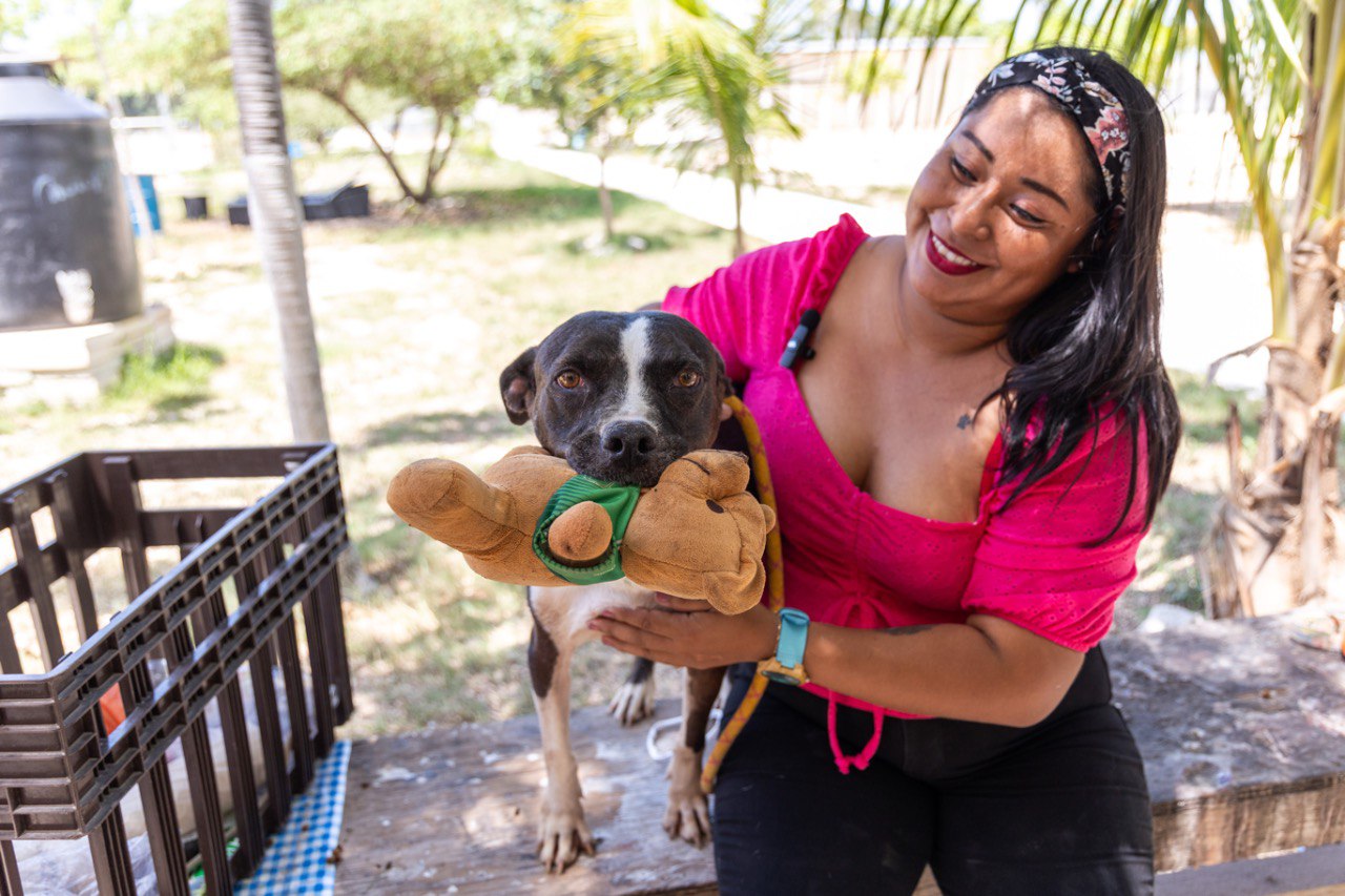 En Solidaridad se da trato digno y se promueve la adopción canina