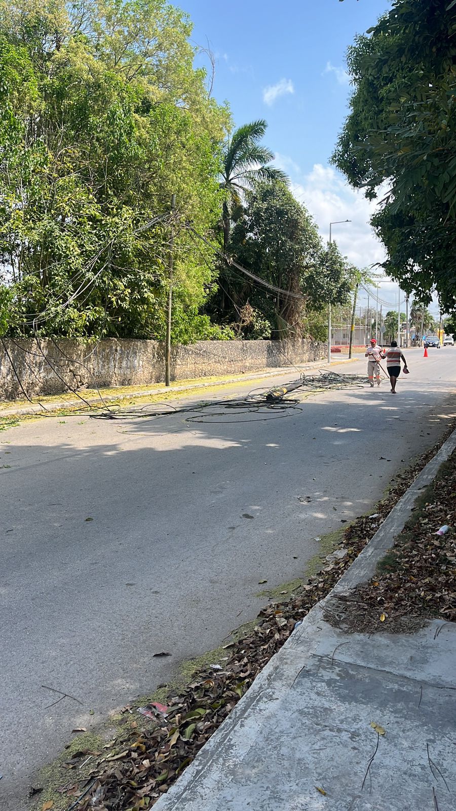 Atiende Protección Civil daños en Postes de la Colonia Centro