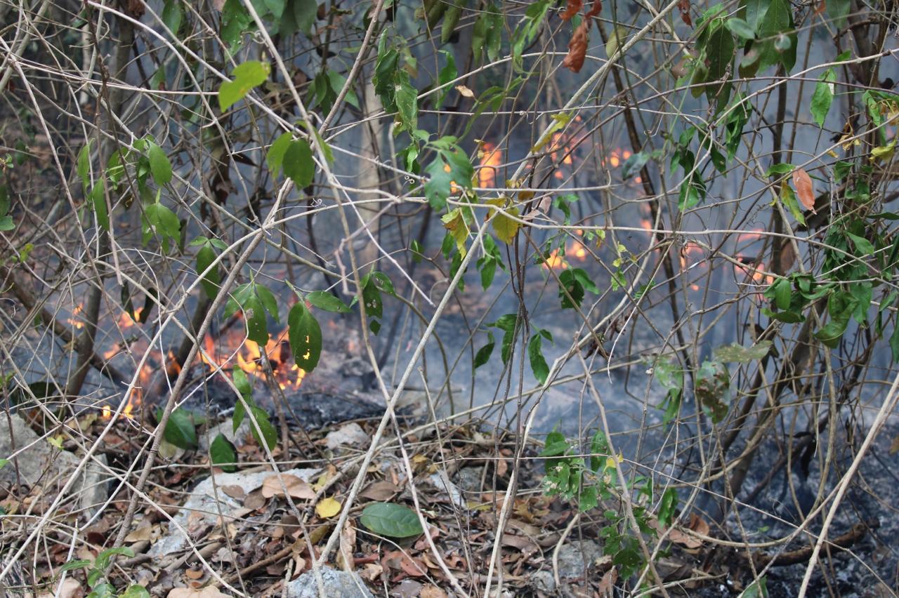 Extreme precauciones en temporada de incendios