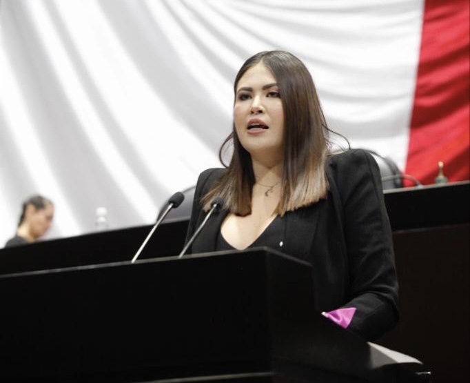 Se aprueba por unanimidad la reforma impulsada por Anahí González, para castigar los ataques con ácido