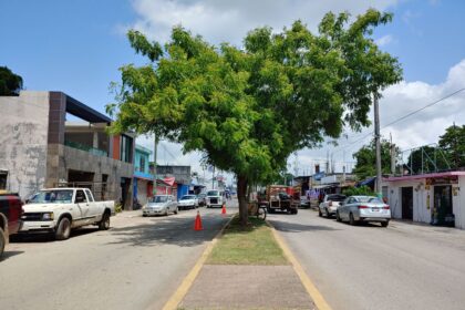 Felipe Carrillo Puerto luce limpio con brigadas activas de Servicios Públicos