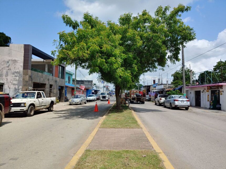 Felipe Carrillo Puerto luce limpio con brigadas activas de Servicios Públicos