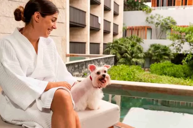 Grand Hyatt Playa del Carmen pet friendly, recomendaciones para viajes con mascotas