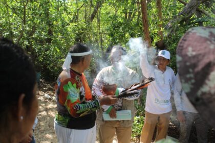 Conmemoran Día Internacional de los Manglares con reforestación y saneamiento en la Laguna del Manatí